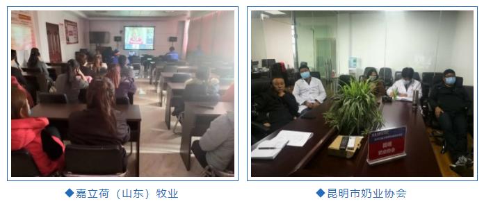 疫情中的困境及自救,疫情当下困境