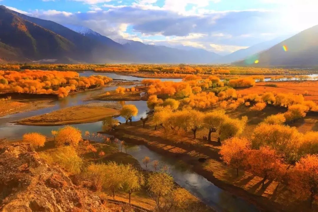 1011月错过它们,等于错过整个秋天!人少清净,随手一拍都是大片