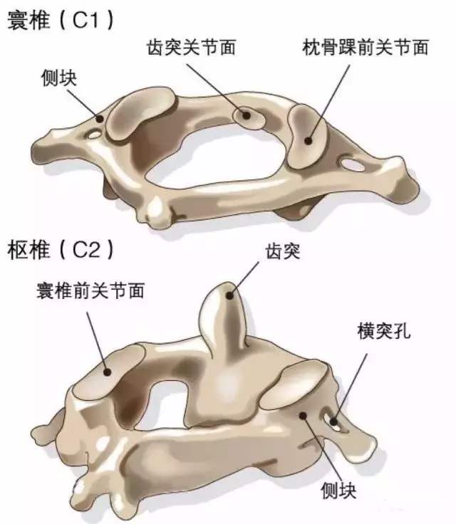 颈椎病引起的手指关节疼痛僵硬,颈部僵硬按一下很舒服