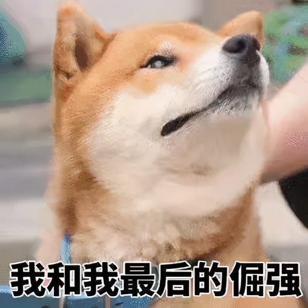 奇葩闹钟强力叫醒,闹钟专治睡不醒