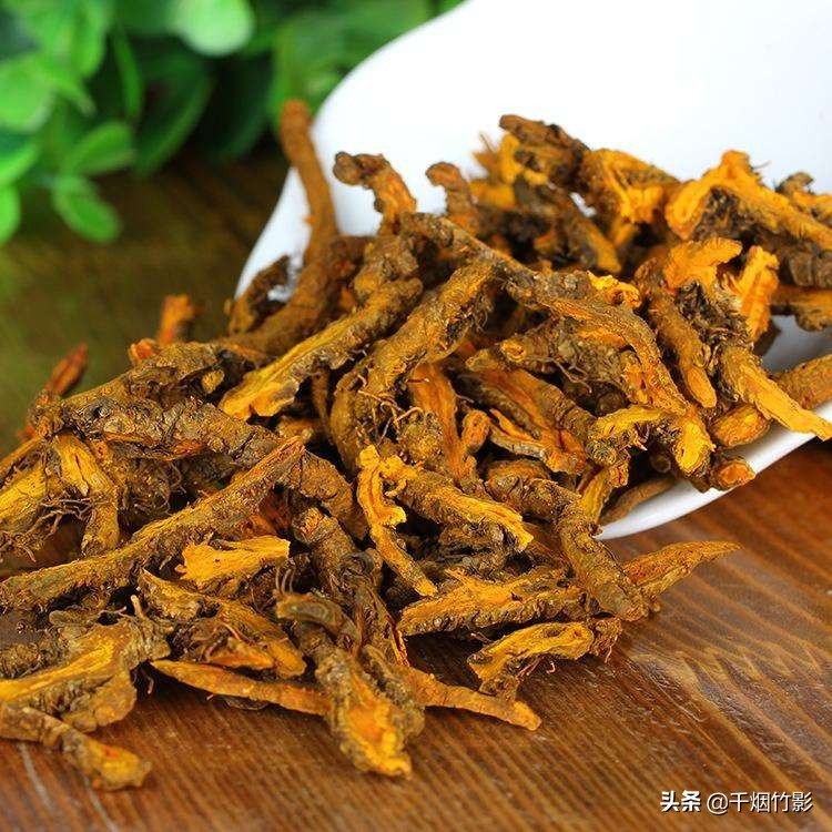 乐山适合种植什么中药材,乐山中药材淫羊藿