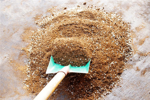 鑺辨埧濮戝澶氳倝閰嶅湡,鑺辨埧濮戝鐜夐湶澶氳倝