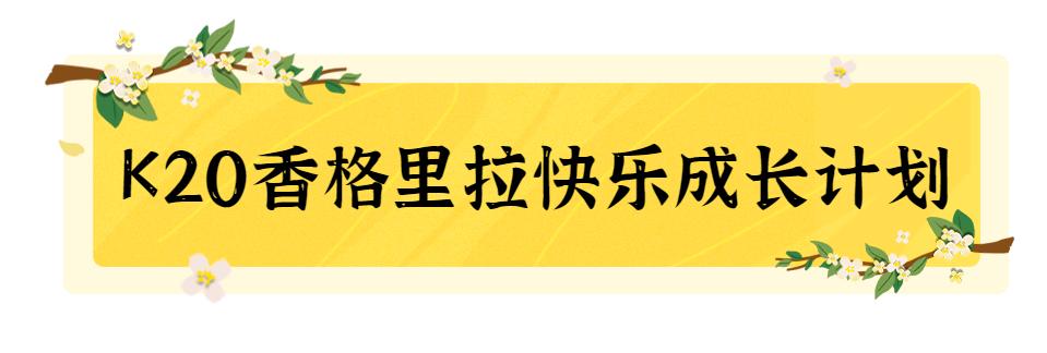 国庆香格里拉旅游住宿推荐攻略,国庆旅游人山人海香格里拉