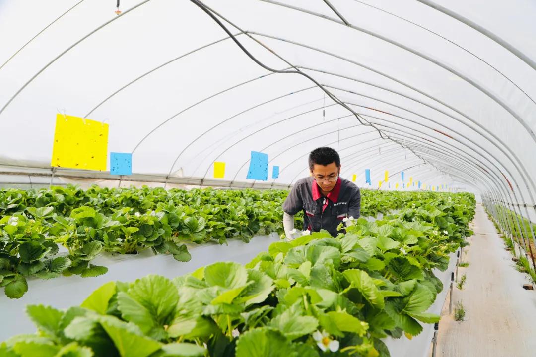 沁源官滩最新规划,沁源乡村振兴产业发展项目