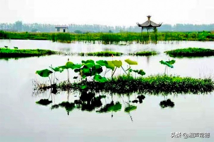书写春联迎新春笔墨浓情送祝福,书写新篇章春联