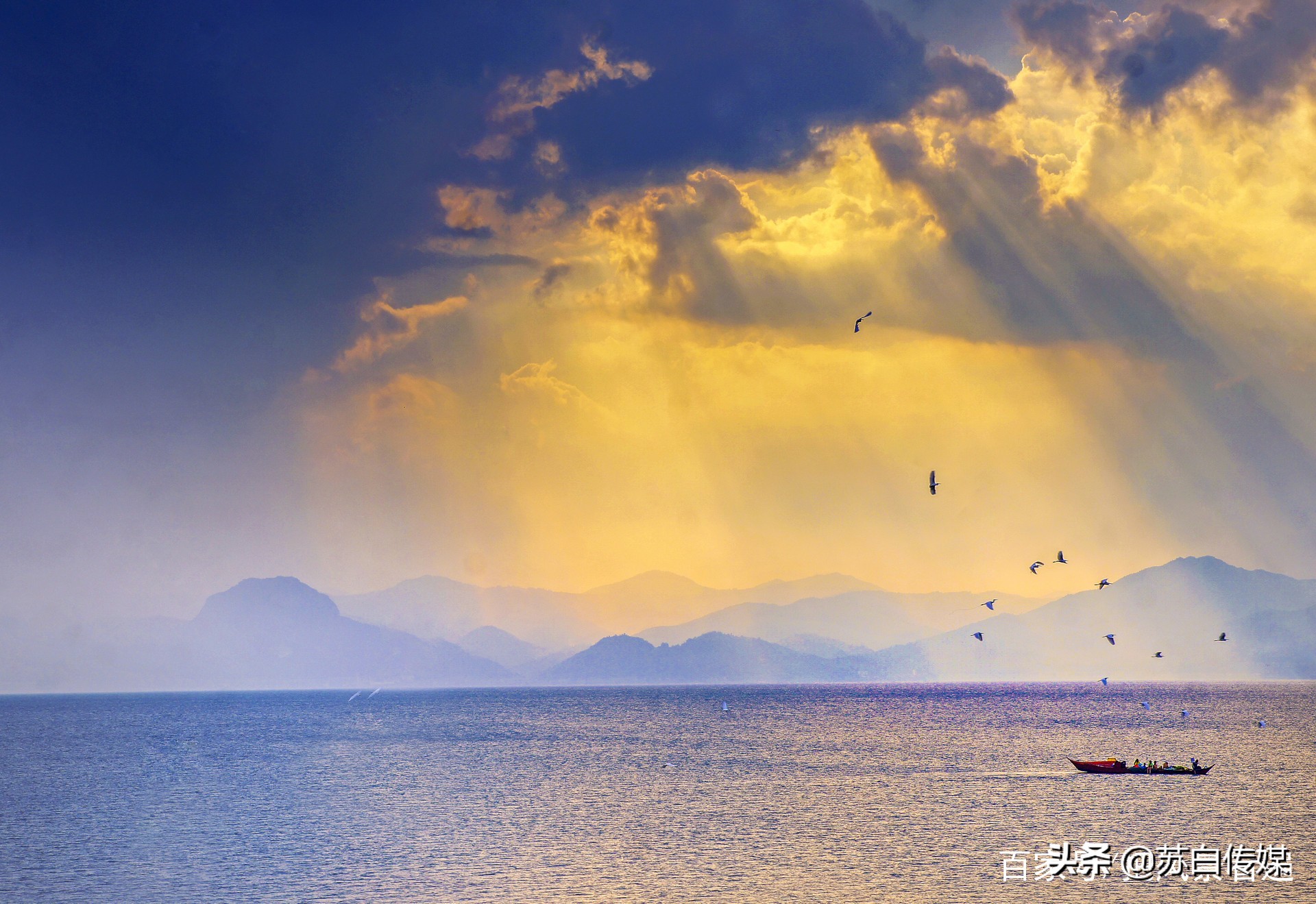 中国最大的内陆湖鱼,中国哪里湖的鱼最贵