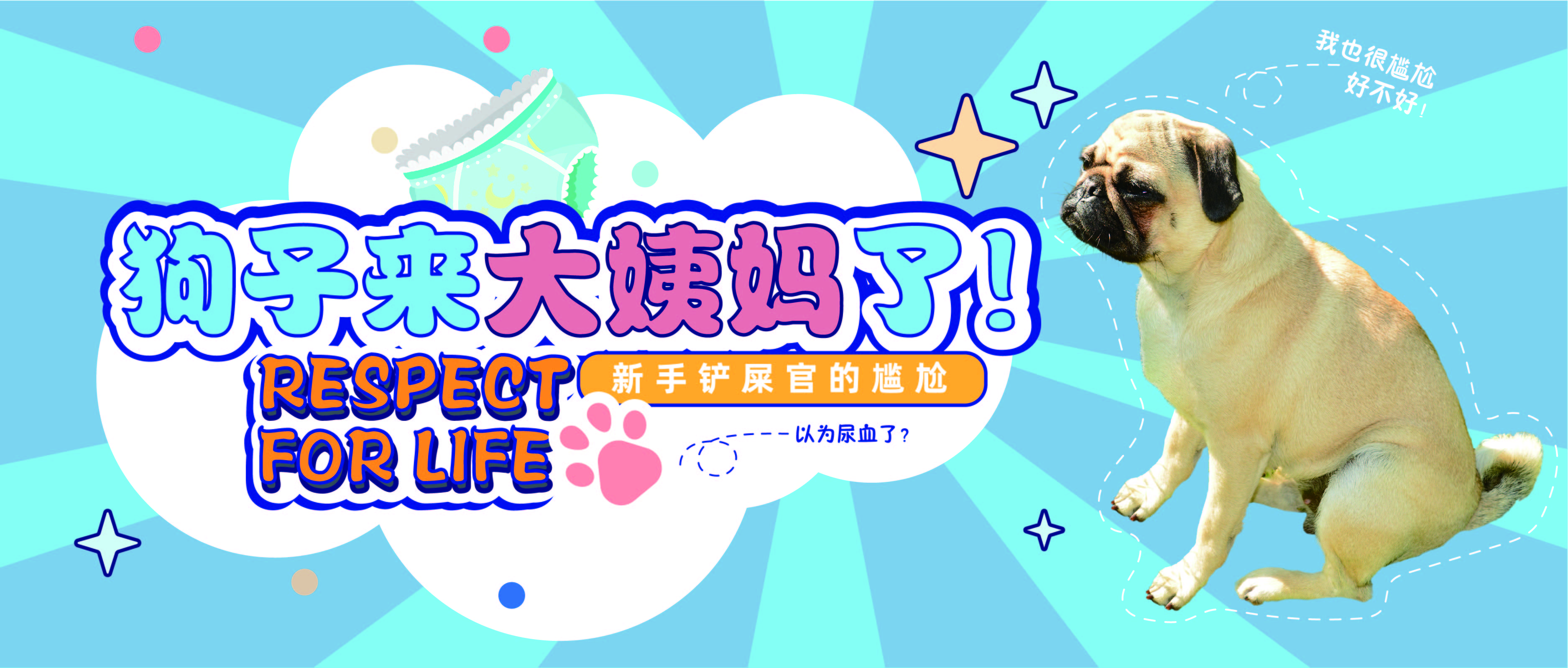 狗子来大姨妈怎么办,狗子姨妈期间如何护理