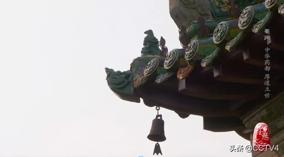 华佗故乡亳州药都之乡简介,亳州为什么被称为华佗故里