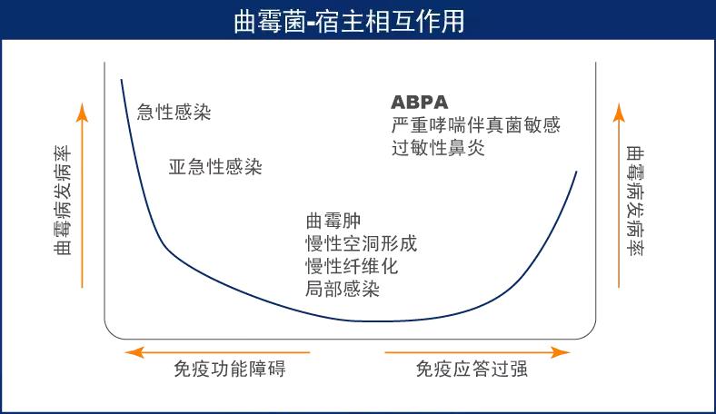 怎样确诊肺部真菌感染,侵袭性肺真菌病的确诊标准有哪些