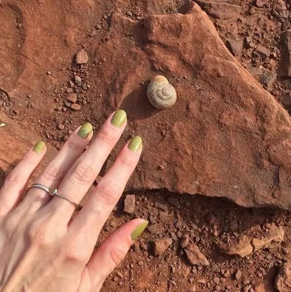 厌倦了红黄棕不妨来款高级感发色,厌倦了高级黑白灰