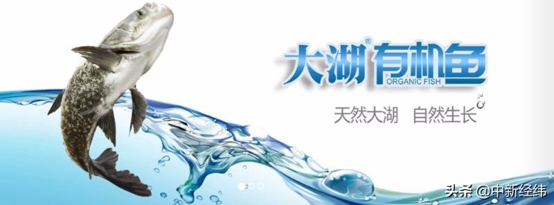 淡水鱼第一股转型记：卖安全套计划遇阻投资百合*赚网**了2000万