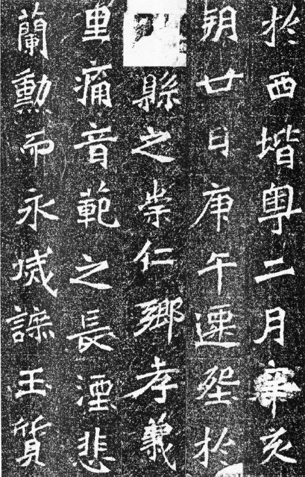 高道悦墓志全图 (高道悦夫人李氏墓志释文)