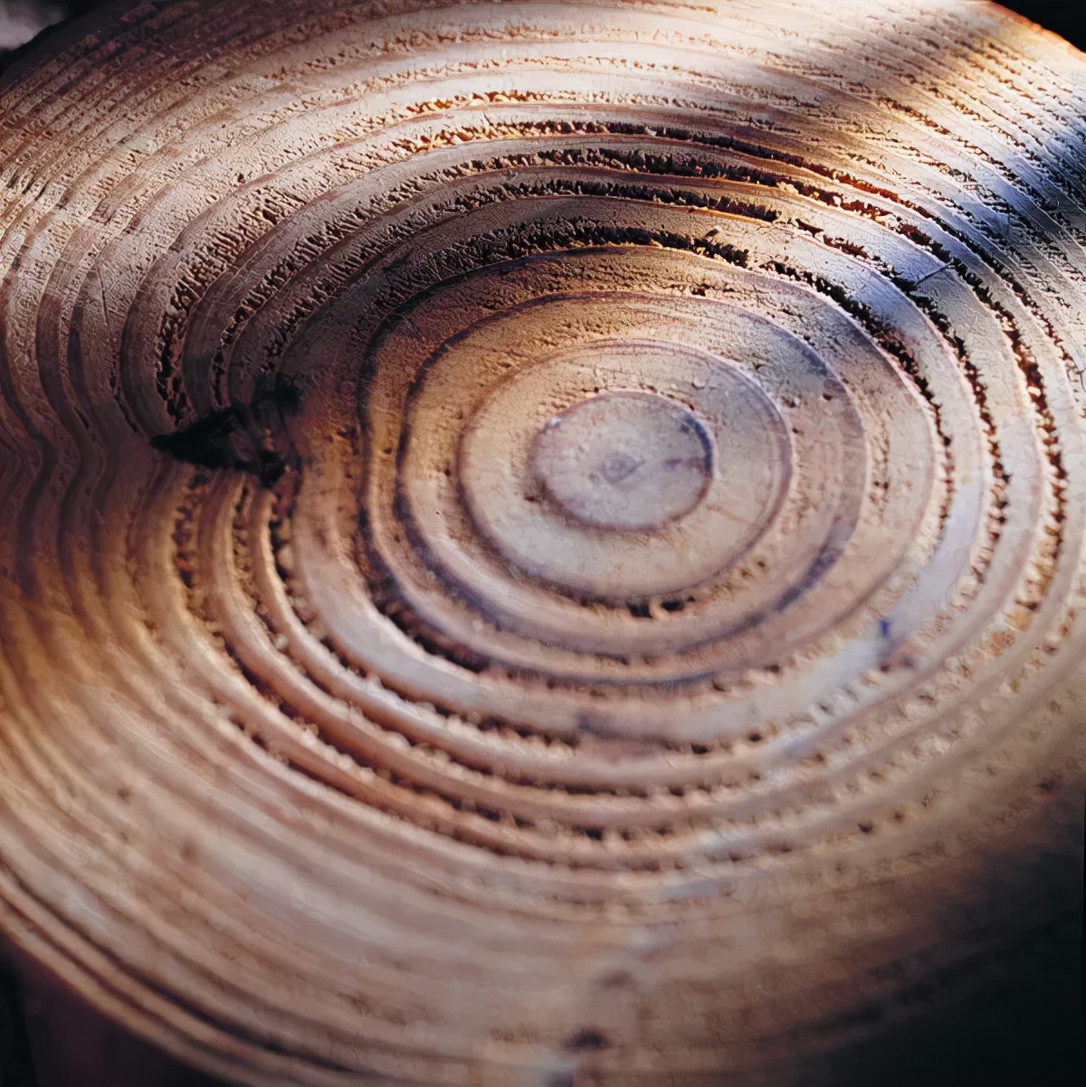 亲情永远藏在每个人的心间,亲情是永远割舍不断的爱