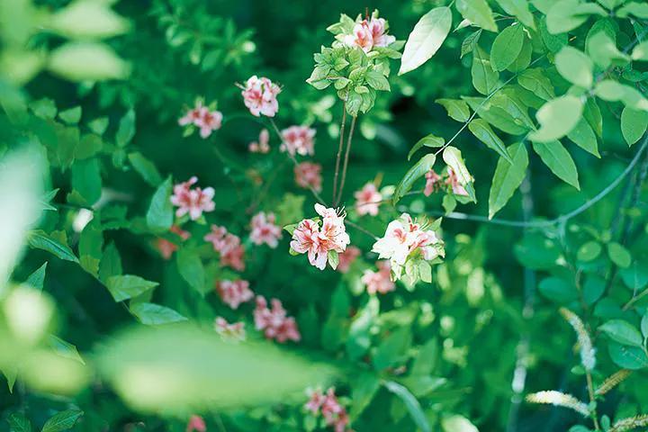 断过的绳子怎么系都有结,绳子断了有个结怎么办