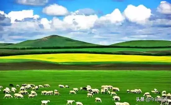 中国各地特产一览表（建议收藏） (中国各地适合送礼特产一览表)