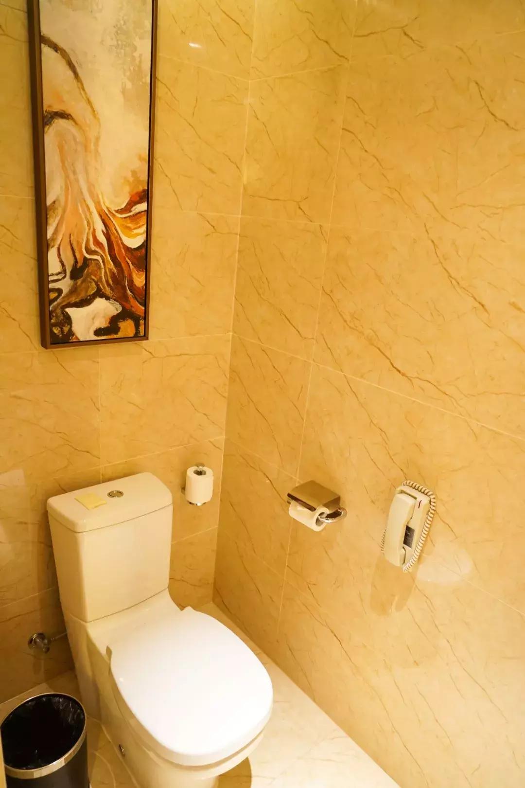 「思远说酒店」汉*江阳**滩繁华地——世茂希尔顿