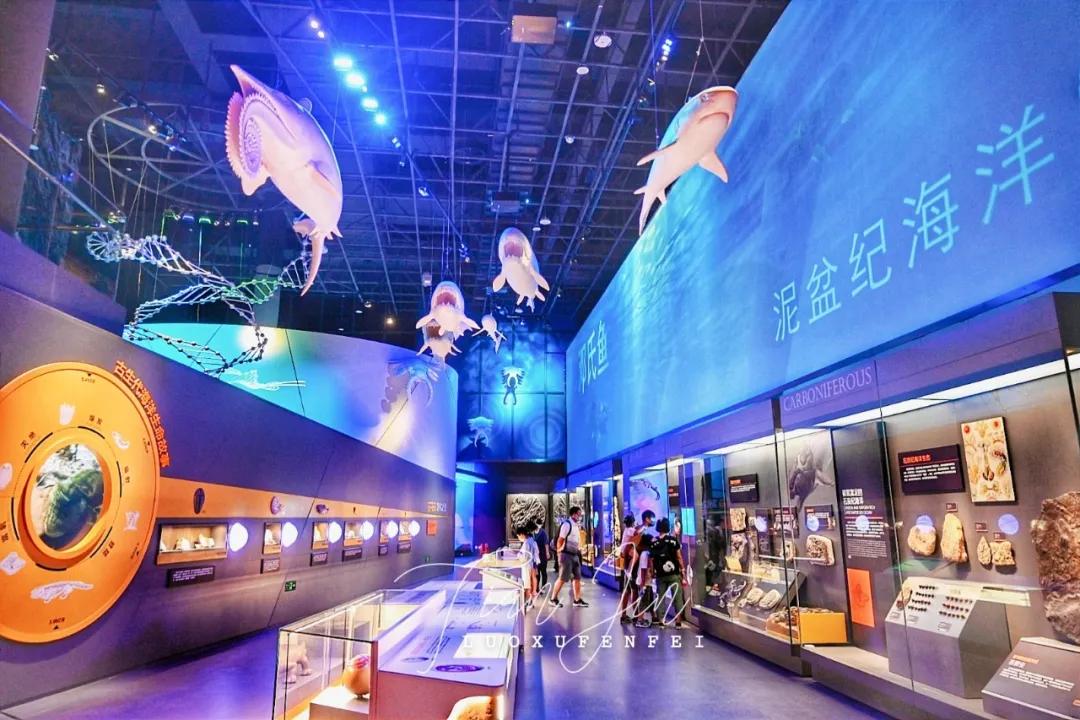 滨海新区海洋博物馆怎样预约,天津滨海亲子游最佳地点