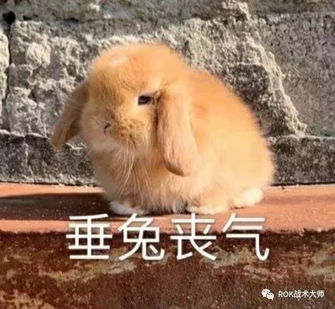 万国觉醒骑兵金装四件套,万国觉醒紫装和金装