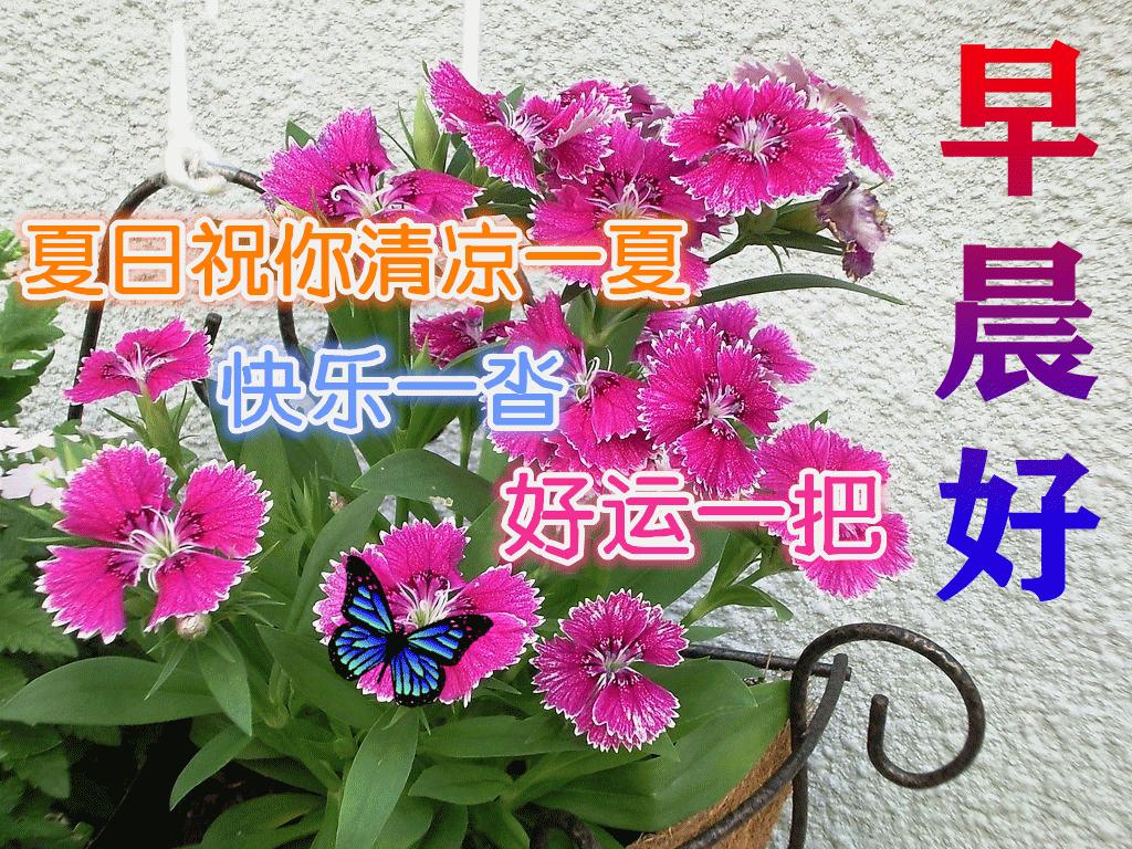 早上好周末愉快问候语动态表情包,周一早上好最新图片表情包