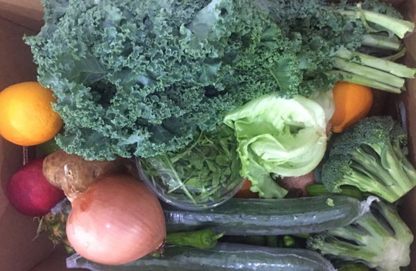 波士顿新冠疫情,波士顿龙虾新冠病毒