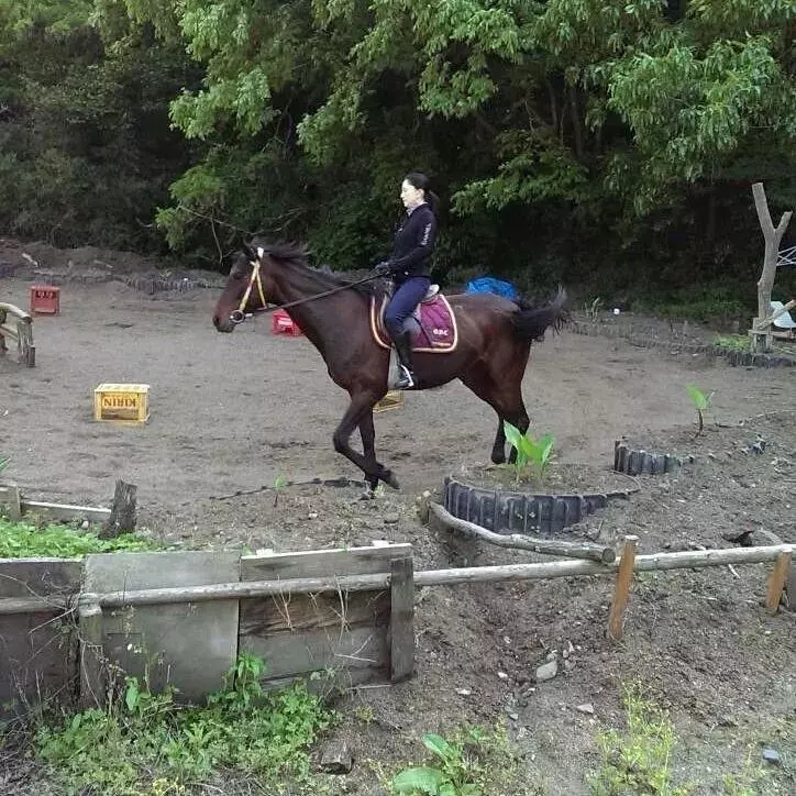 52岁大妈身材神似少女,52岁大妈美似少女