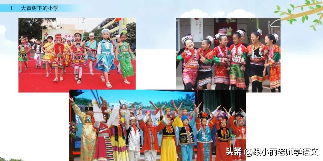 大青树下的小学重要背诵内容,大青树下的小学必会知识点