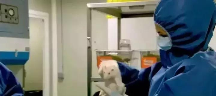 草甘膦，你欠农业一个道歉！