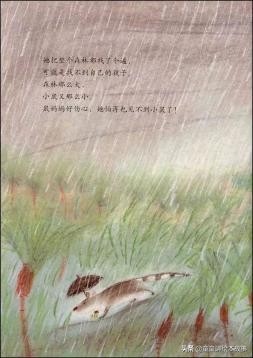 有声绘本故事《嘿，站住！》学会信任