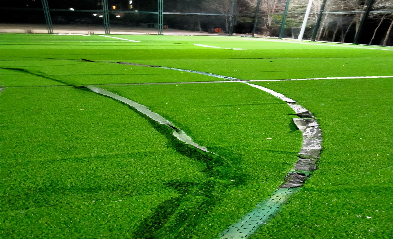 汪清县事件,汪清县涉恶案件