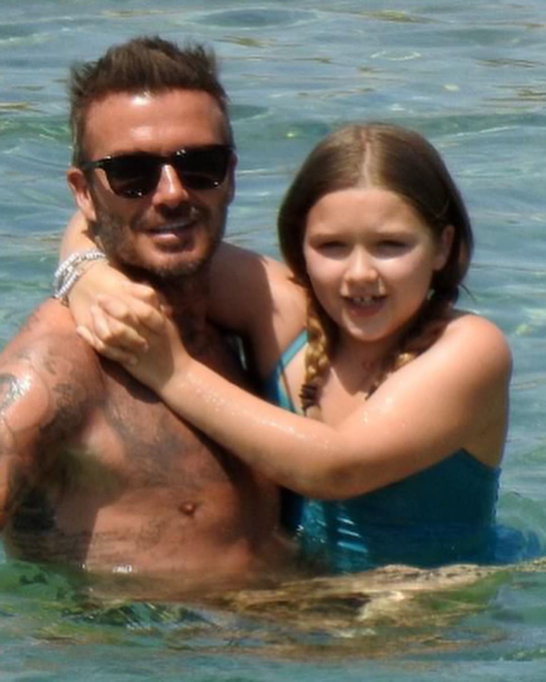 小七变胖了,小七胖成啥样了