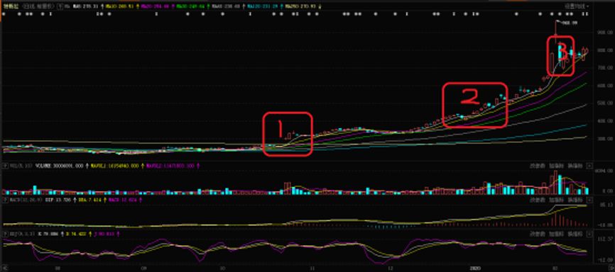 持仓特斯拉,中概股蔚来