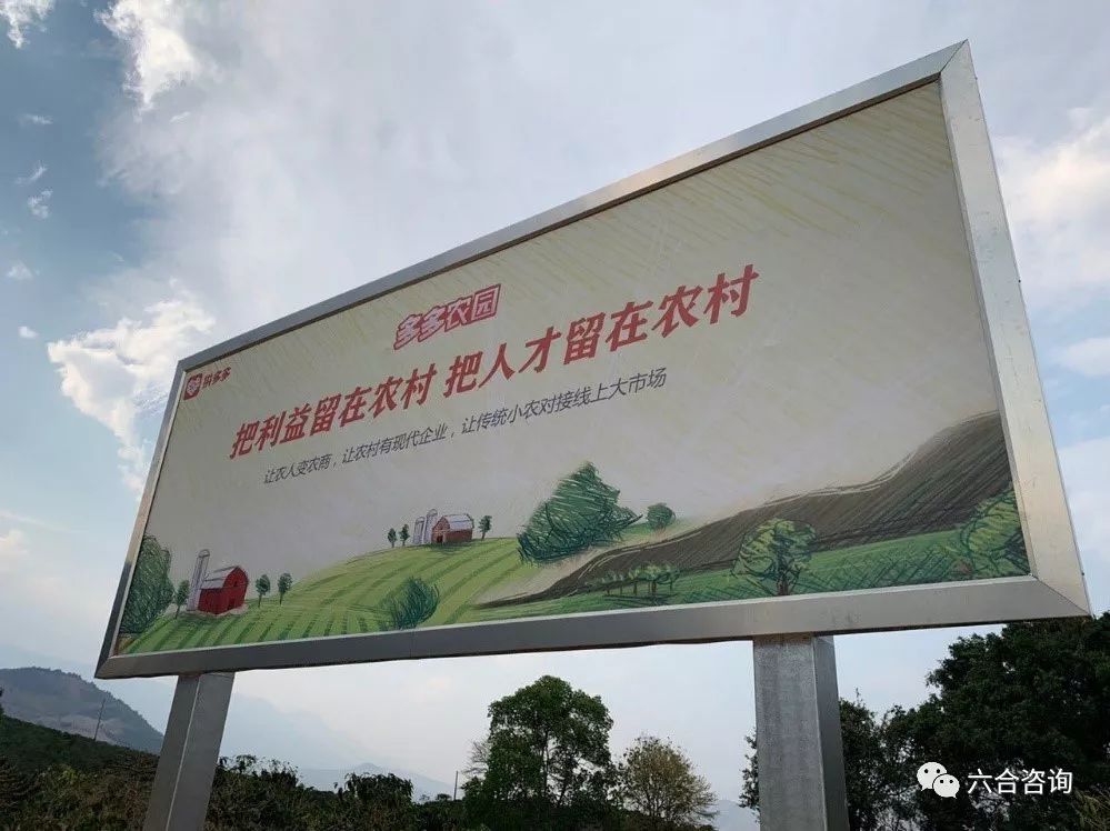 拼多多从社交电商到三年上市,拼多多社交电商政策