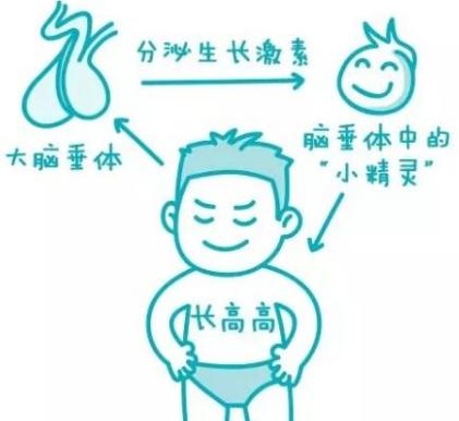 梅西注射生长激素,梅西生长激素打了几年