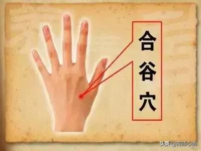 有一种锻炼法，可让人人活过100岁！（国家体育总局力荐）