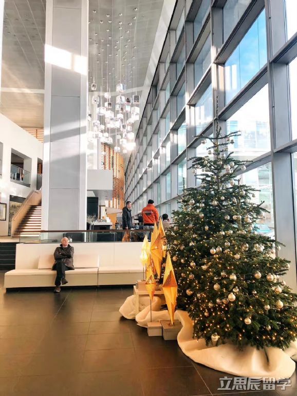 全球排名前500，布伦瑞克工业大学最好的专业有哪些？