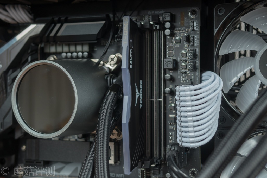 十铨deltargb,十铨team内存几线品牌