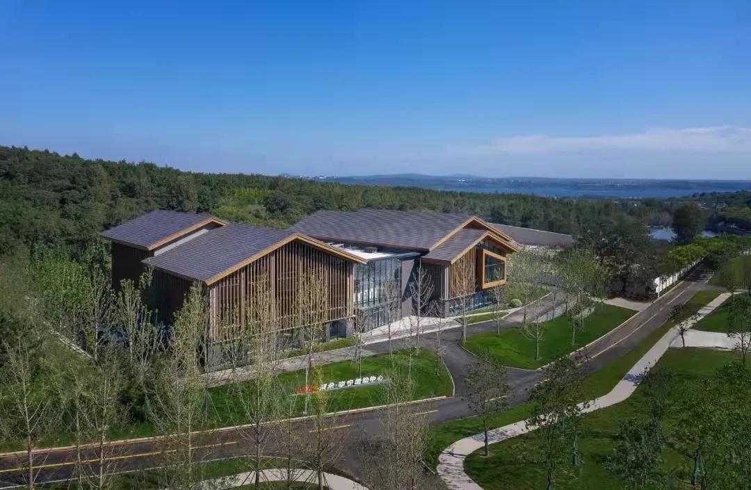 阿朵小镇风光无限,走进阿朵小镇