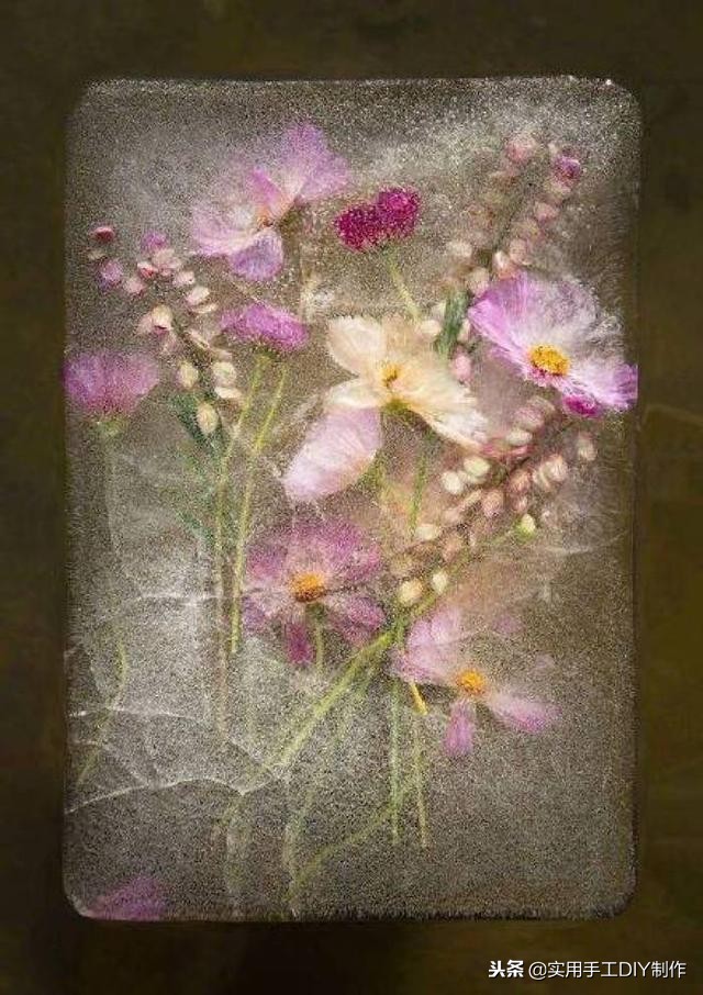 鲜花摄影作品欣赏,高清鲜花美图