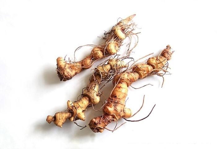 中药材黄精烘干机,中药材黄精