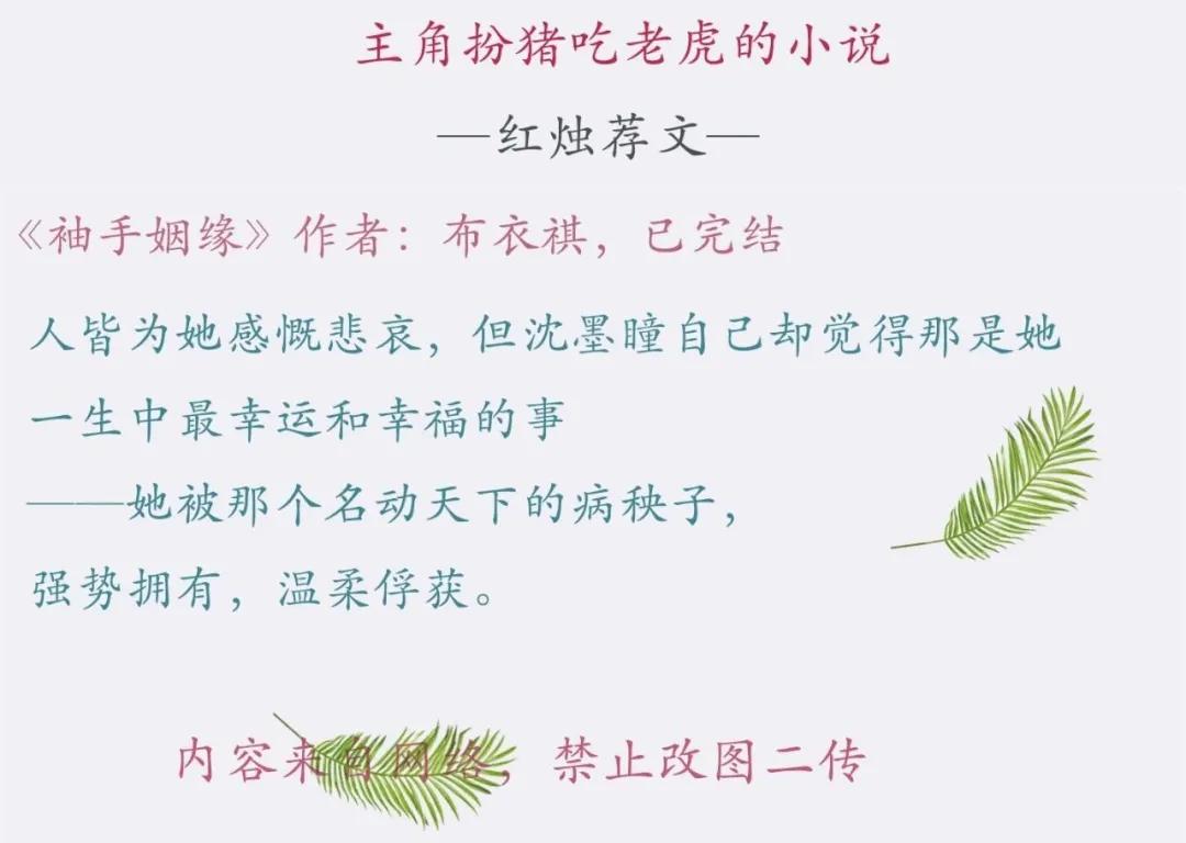 主角扮猪吃虎写得最好的小说,主角扮猪吃老虎历史小说推荐