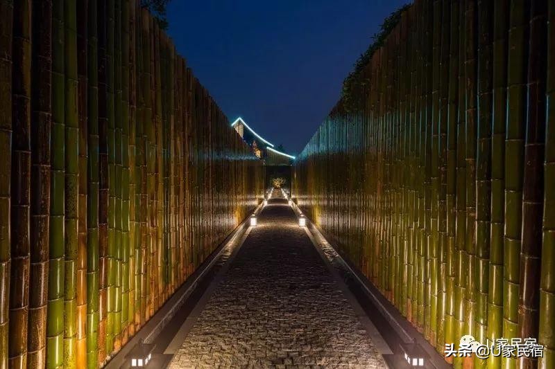 成都首家野奢帐篷酒店，高颜值避世野宿，帐篷听雨树屋观星
