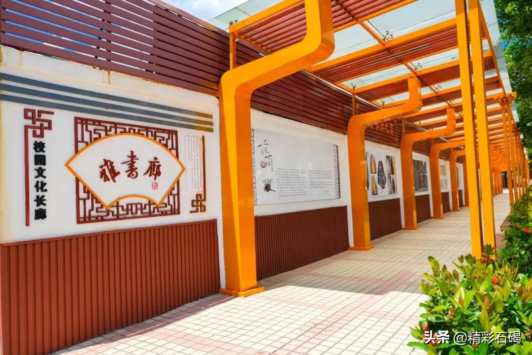 2018年广东省东莞市石碣四海学校,东莞市石碣四海之星学校招生