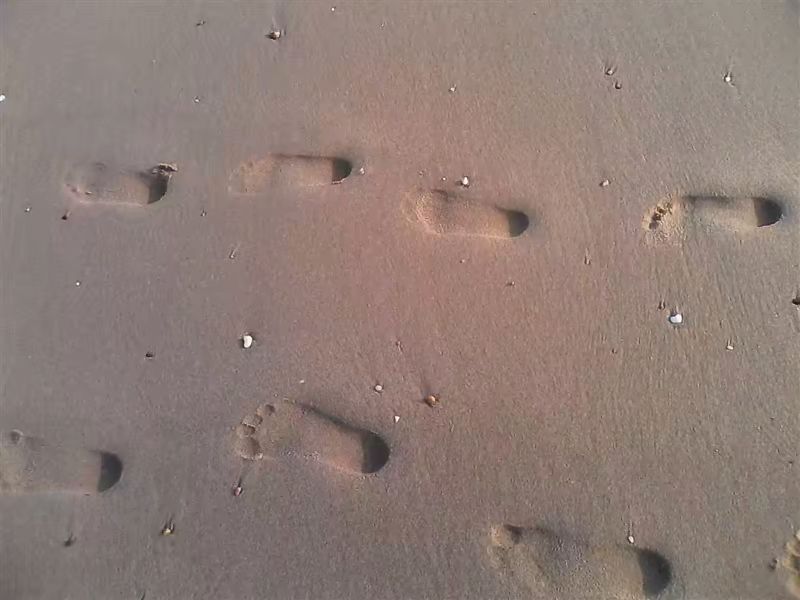 他说的“白头”，竟是再也没有回头