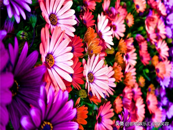 双鱼座越来越爱你的表现,爱上双鱼座的100个理由