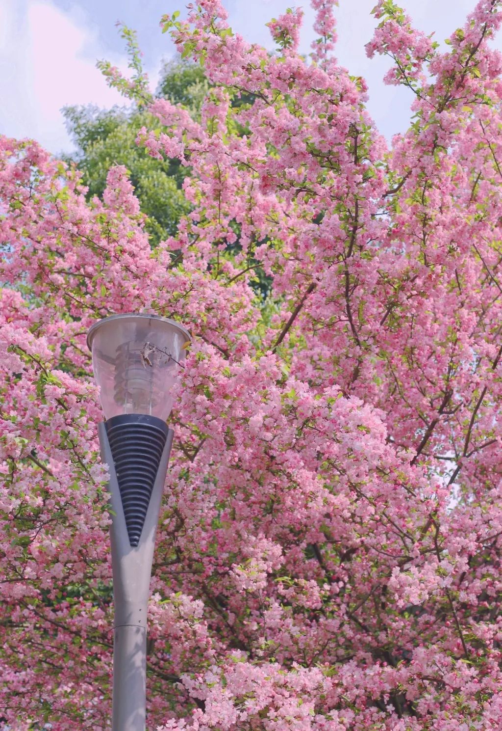 东软，青城山下最大的养老院型综合网吧