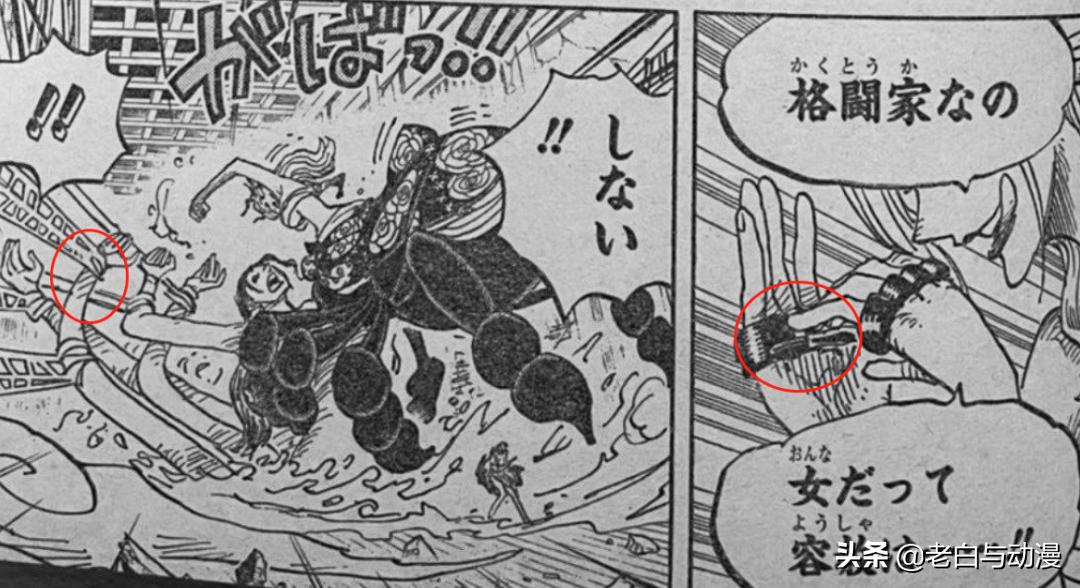 漫画海贼王罗宾变为恶魔之子,海贼王罗宾恶魔之子形态