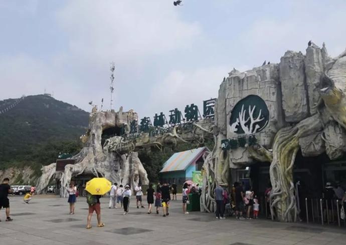 大连行程攻略,大连旅行攻略详细路线推荐图