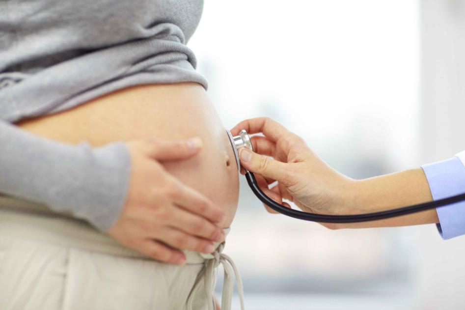 生命是怎么生出来的,生命是怎么繁衍的