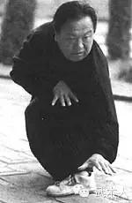 霍永雳心意神功,霍永雳先生谈戴氏心意拳