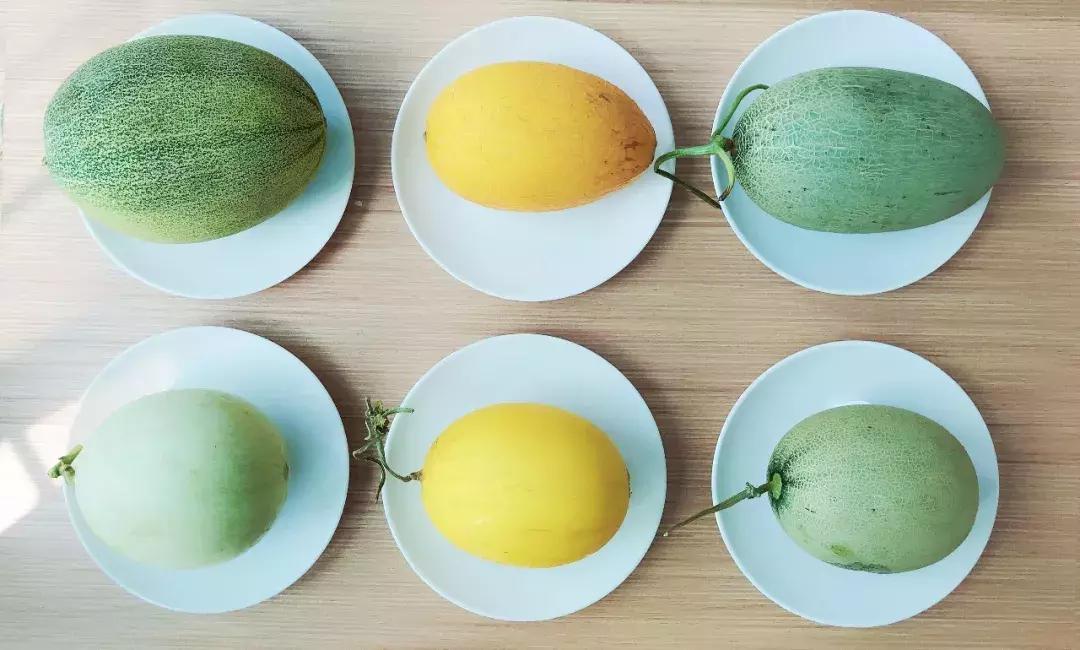 星选爱吃|看完这份蜜瓜评测，我明白这份“都挺好”的来之不易